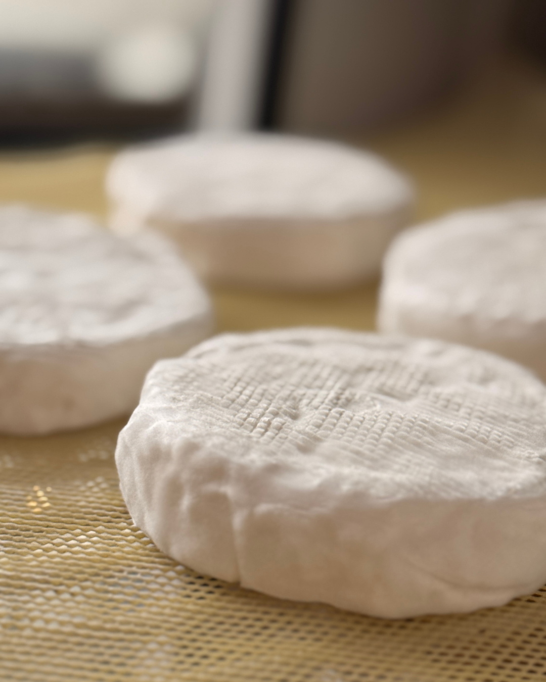 Camembert (PRE-ORDER ONLY)